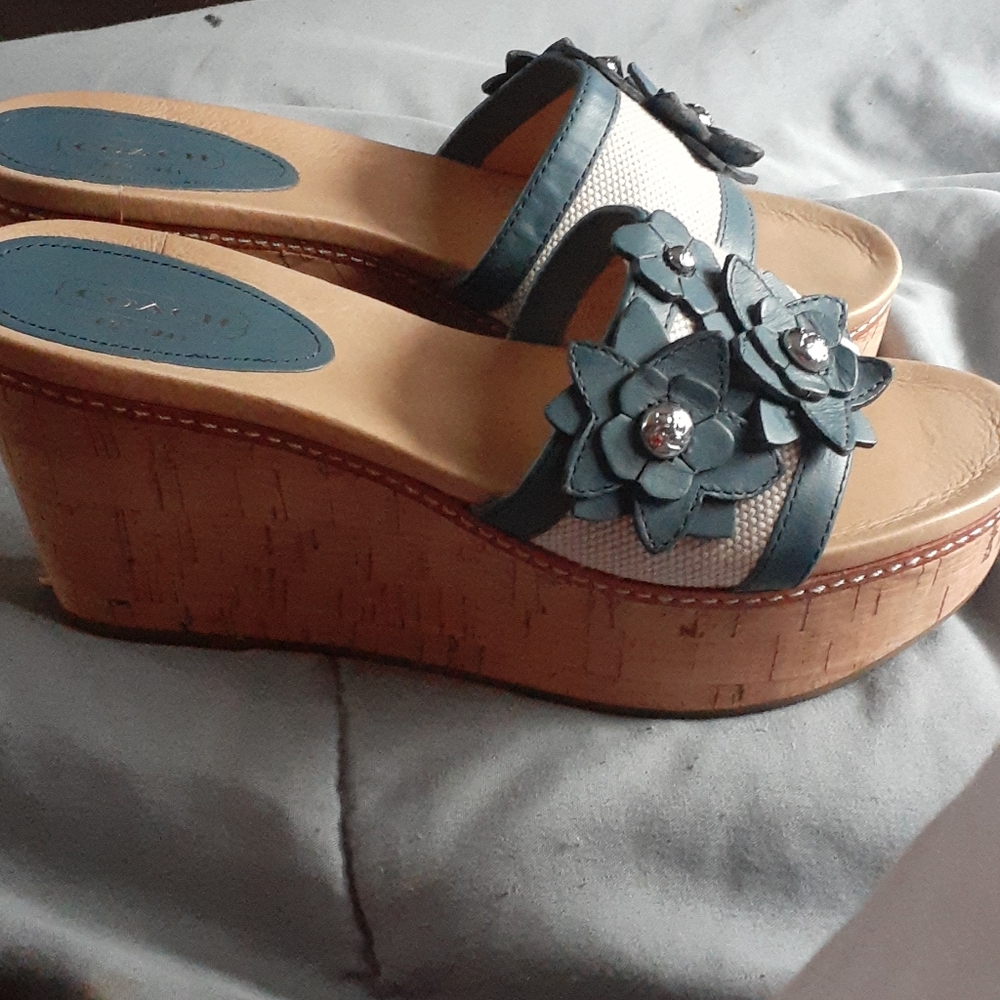 Coach wedge